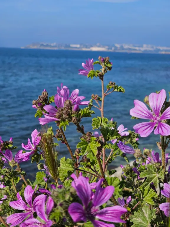 Квартира Уютная квартира-студия — Севастополь