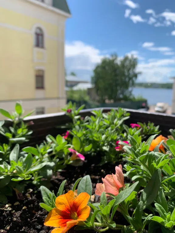 Новая студия Юниор с видом на Волгу в центре города