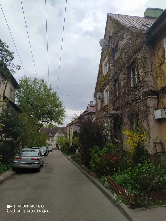 Прусский Кот  (в историческом районе Ratshof на границе с Amalienau)