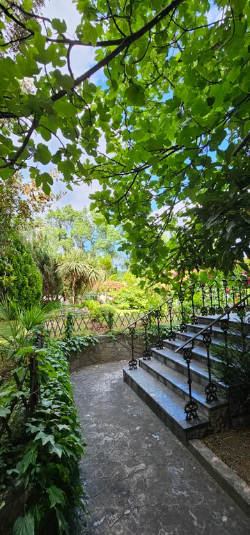 Солнце Ялты