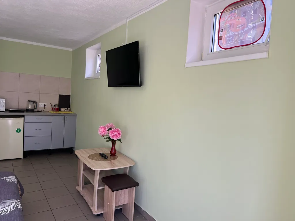 Квартира-студия в частном доме