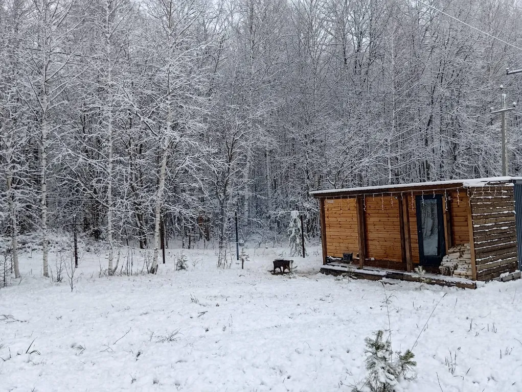 Уютный домик с комфортом  в лесу