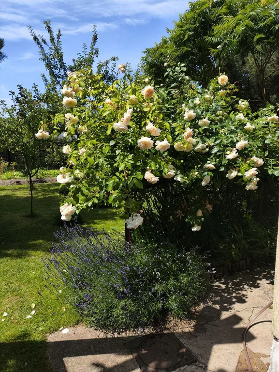 Дом для отдыха Майя возле моря