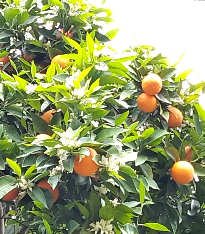 Двухместный номер