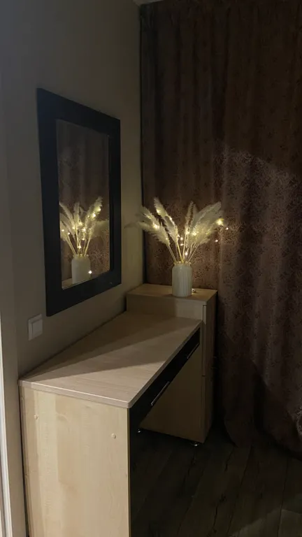 Загородная квартира На истоки