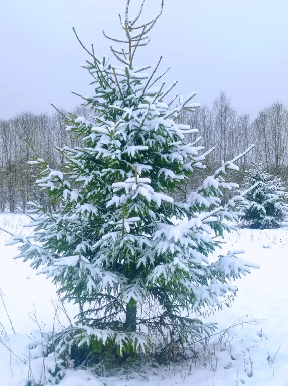 Таунхаус с детской комнатой