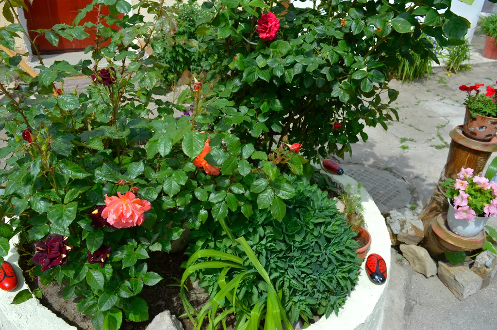 Дом рядом с морем и своим двориком