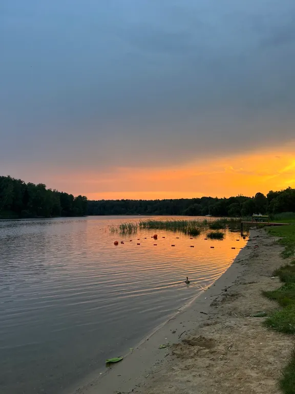 Уютный дом у леса