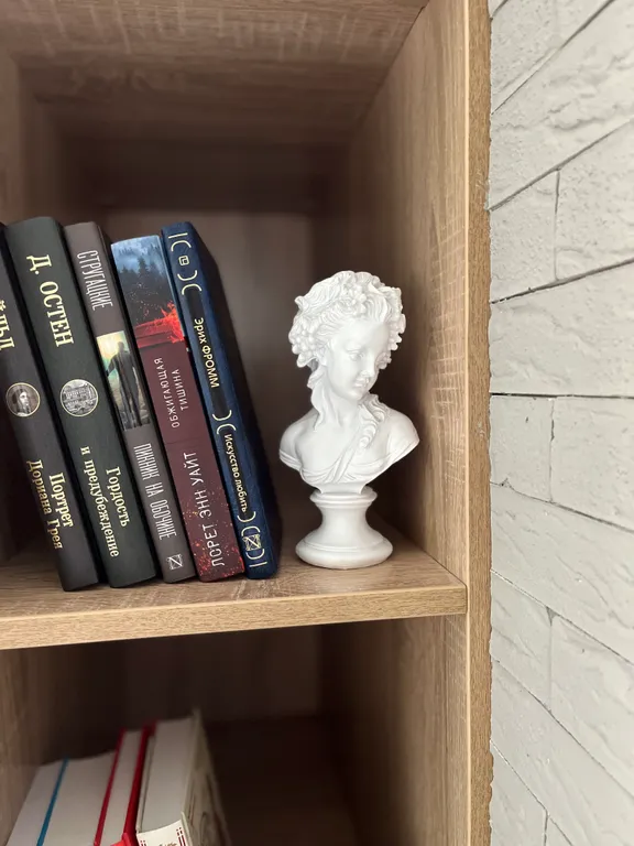 Квартира Дизайнерские апартаменты в историческом центре — Кострома