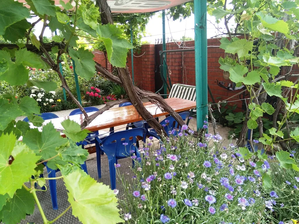 Квартира Комната — Кучугуры