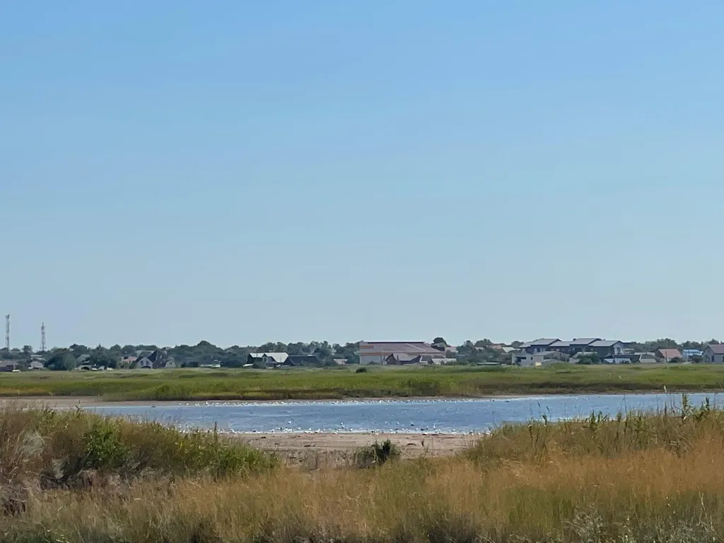 Домик у пруда рядом с Азовским морем