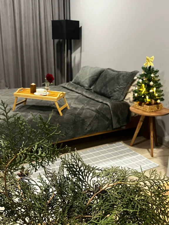 Стильная видовая студия в центре города