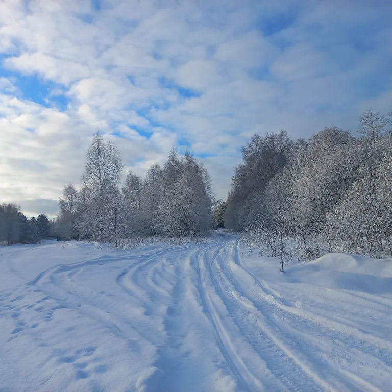 Коттедж Атмосферный Лесной домик, баня на дровах, чан на берегу реки в лесу — Старово
