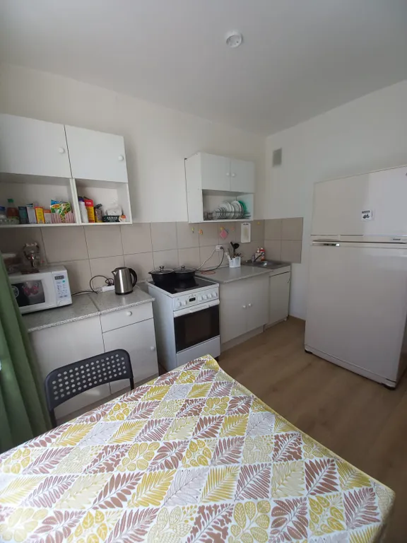 Квартира Квартира в Песочном рядом с НИИ Петрова — Песочный