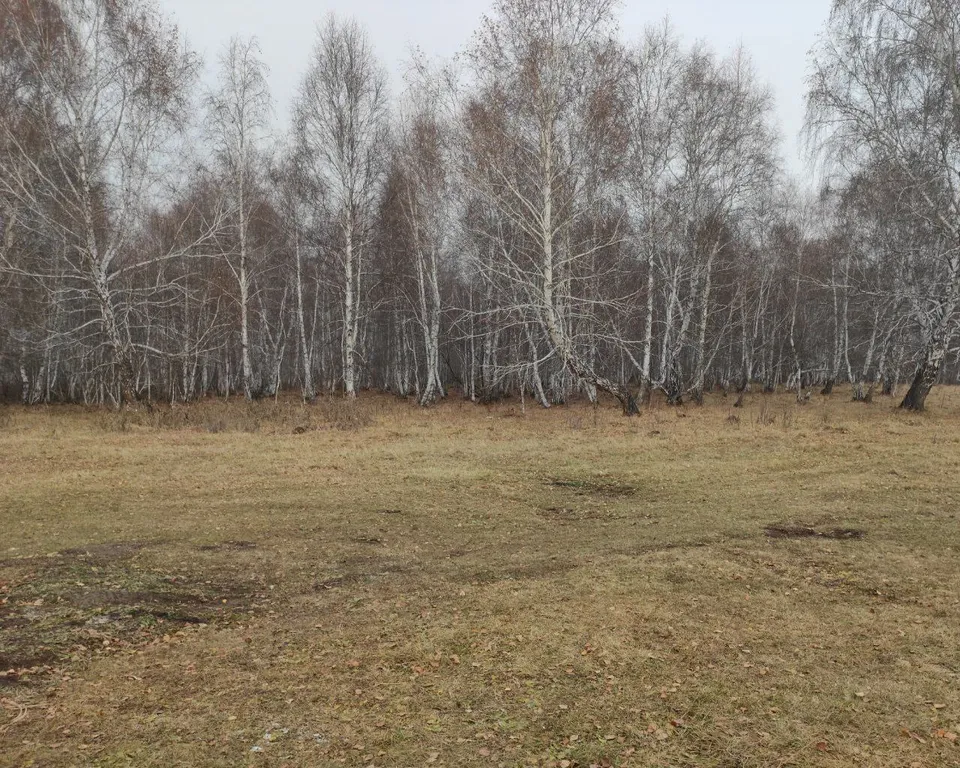 Новый таунхаус на банном!!! АКЦИЯ 2 суток, 3 сутки в подарок!