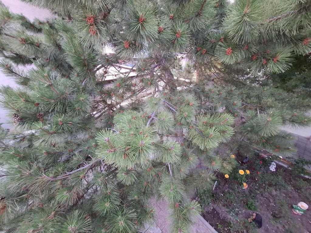 Семейный номер с видом на горы