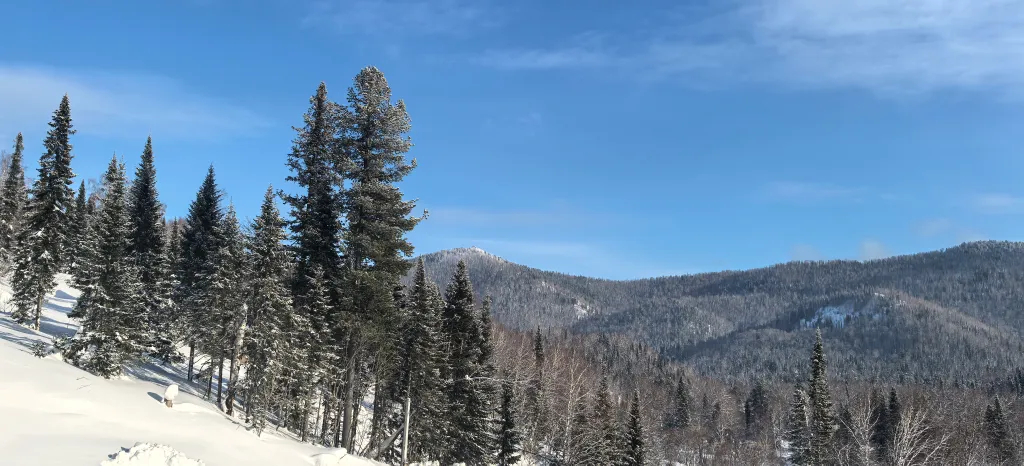 Дом на горе