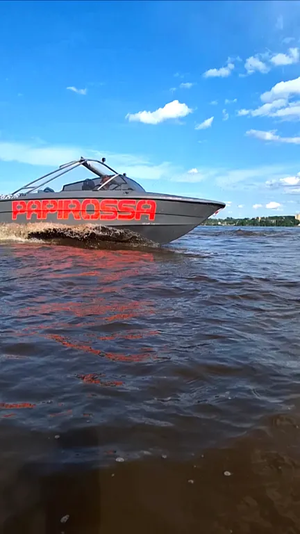 Коттедж Коттедж Успей насладиться зимней сказкой на берегу реки Нева. — им. Морозова