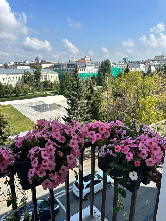 Уютная квартира в центре города с видом на парк черное озеро