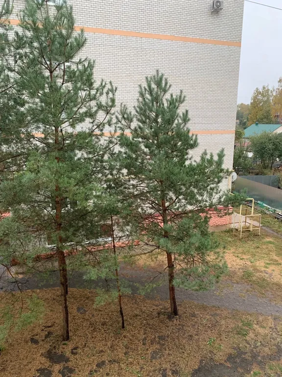 Просторная квартира