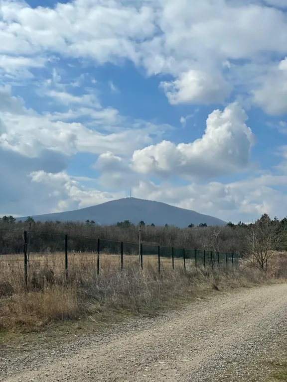 Светлая, просторная квартира в лучшем, спокойном районе, в центре