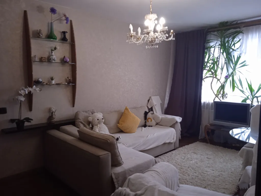 Уютная квартира у парка