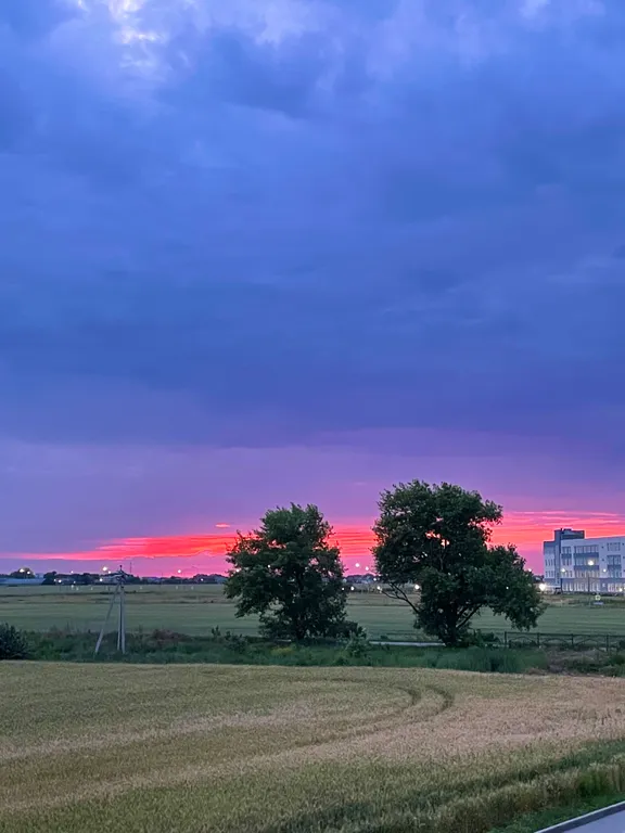 Стильная чистюля с видом на поле и закатные пейзажи