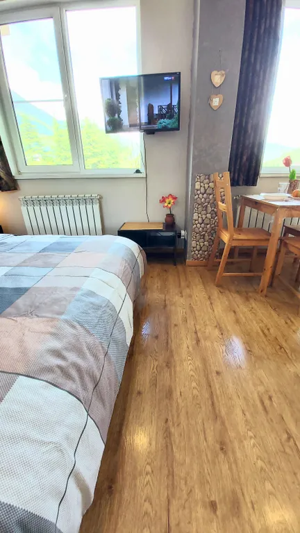 Студия с видом на Горы в центре