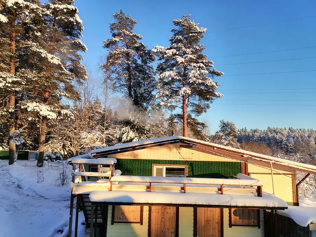 Гостевой дом у леса