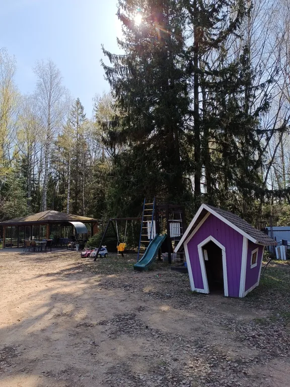 Удивительный дом в лесу