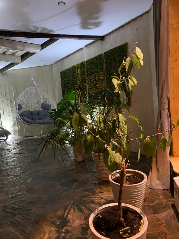 Уютный Дом Шале для семейного отдыха или в компании близких друзей