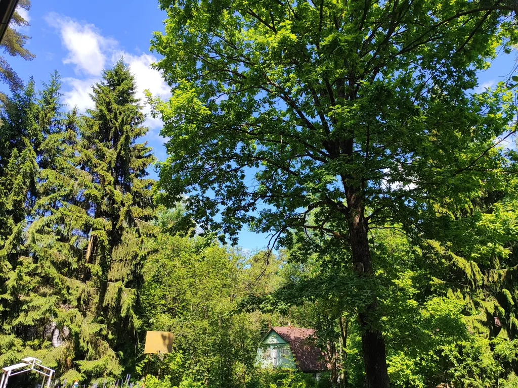 Уютный загородный дом