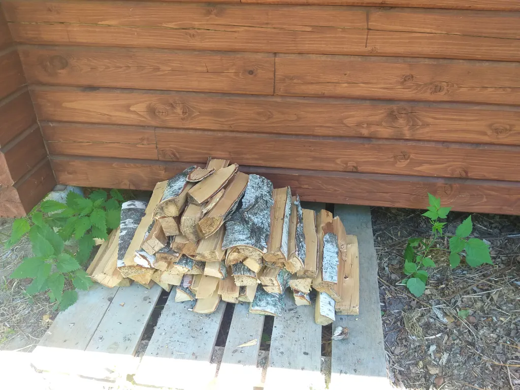 Шале в лесу в Подмосковье со всеми удобствами