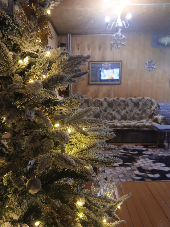 Дом с участком/House with a plot