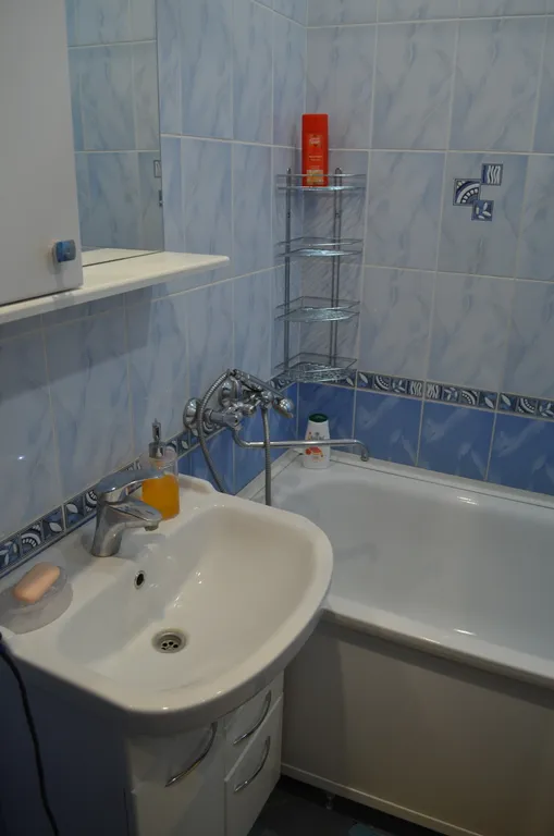 Квартира Рядом с хвойным лесом — Воронеж