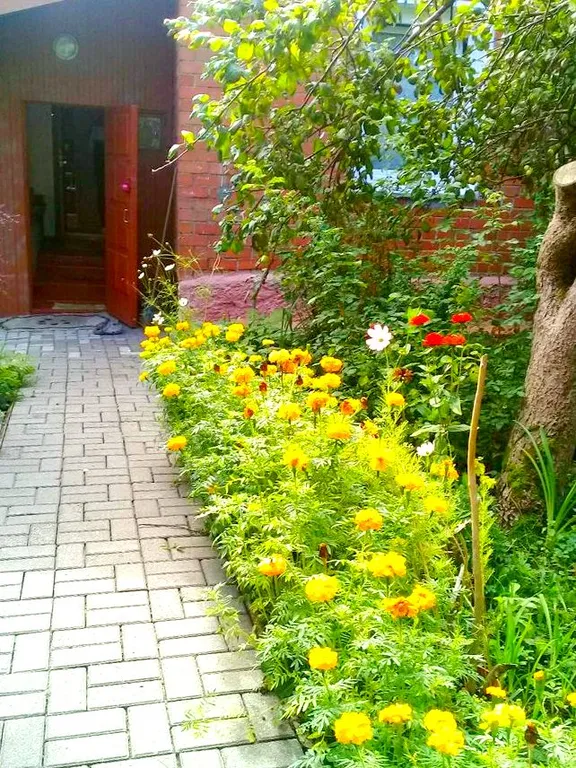 Дом у моря на лето