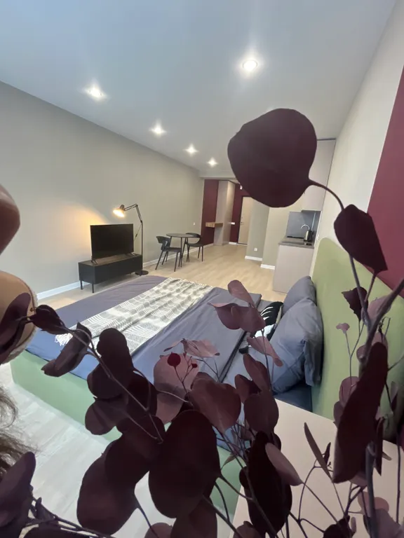 Студия рядом с М5