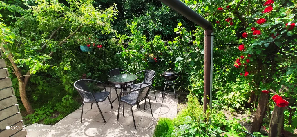 Светлая и просторная студия в чудесном саду для отдыха под шум моря