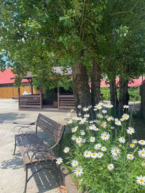 Уютная квартира у моря