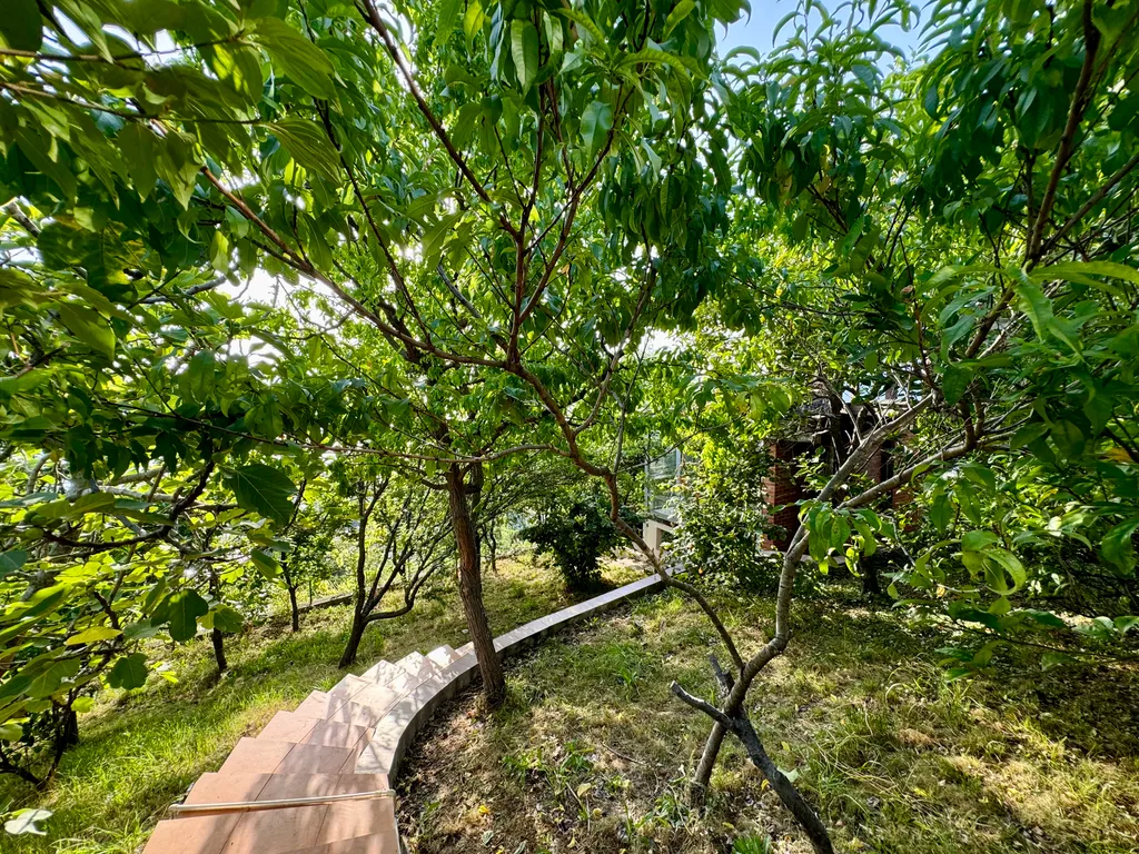 Дом с бассейном