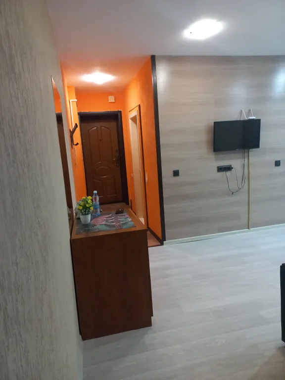 Трёхкомнатная в центре, Дворец Ярыгина, отчетные документы