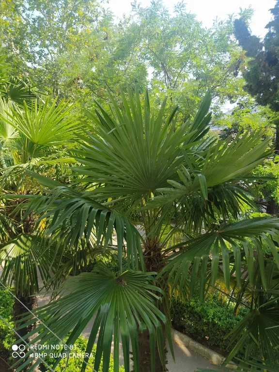 Трёхкомнатная квартира в центральной части