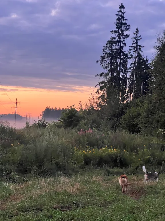 Уютный теплый дом с выходом в лес, 40 минут от Москвы со своей территорией