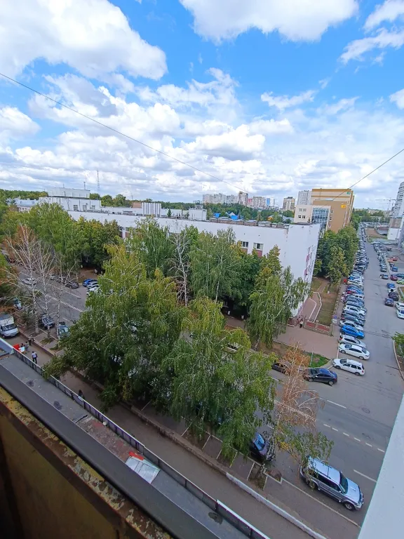 Квартира в географическом центре города