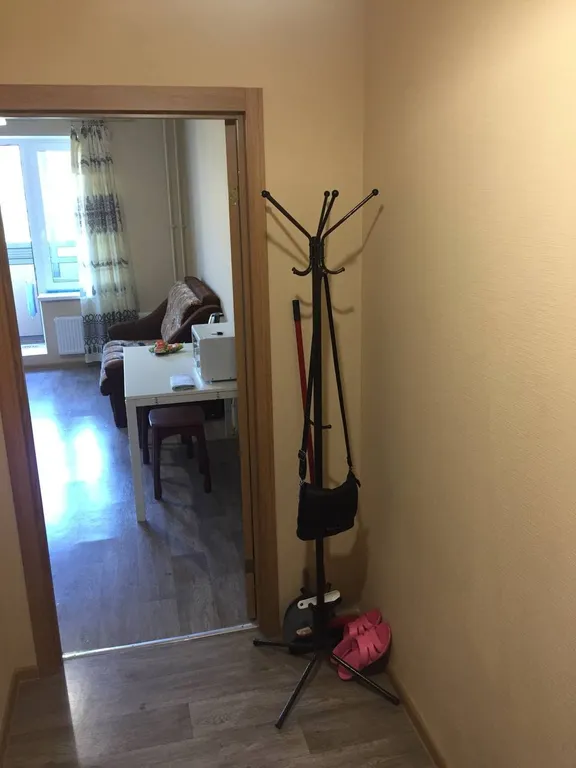 Квартира Квартира Уютная студия напротив НИИ им. Петрова — Песочный