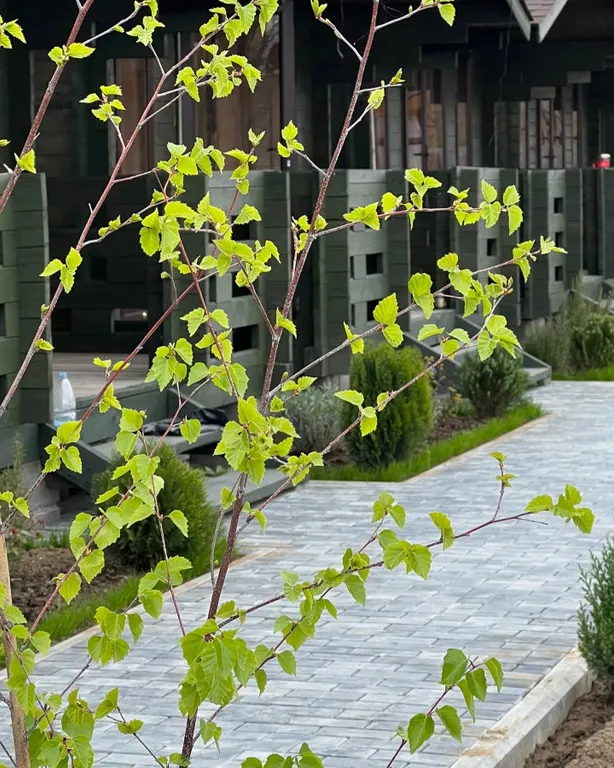 1-комнатный Дом