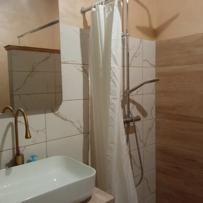 Студия Сканди Олива