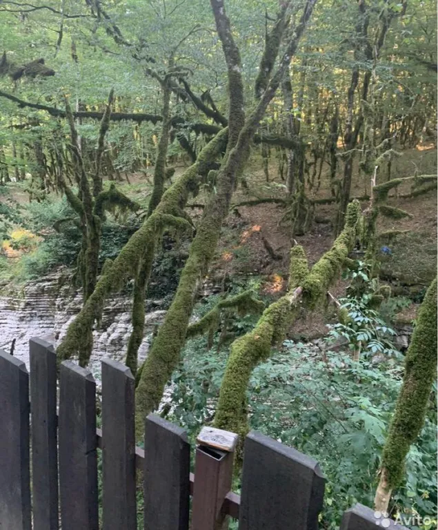 Коттедж Коттедж Голицино — Сочи