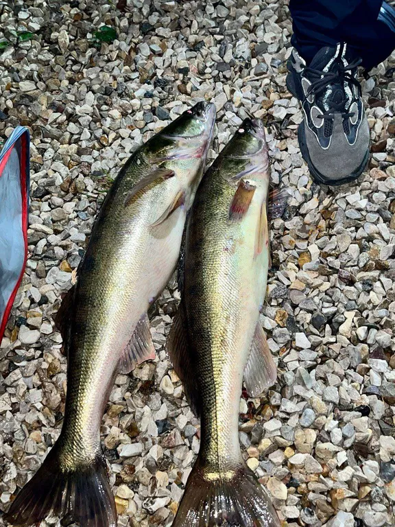 Гостевой дом на озере Селигер