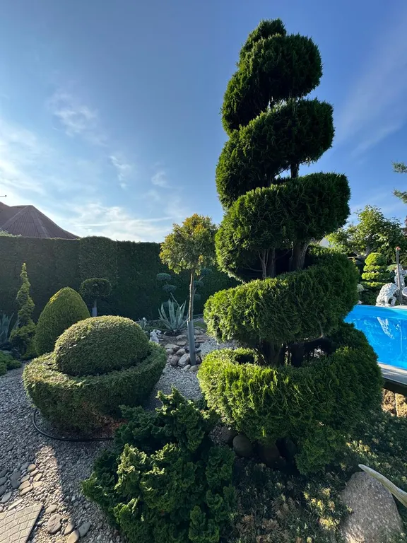 Апартаменты с бассейном
ДомКрус